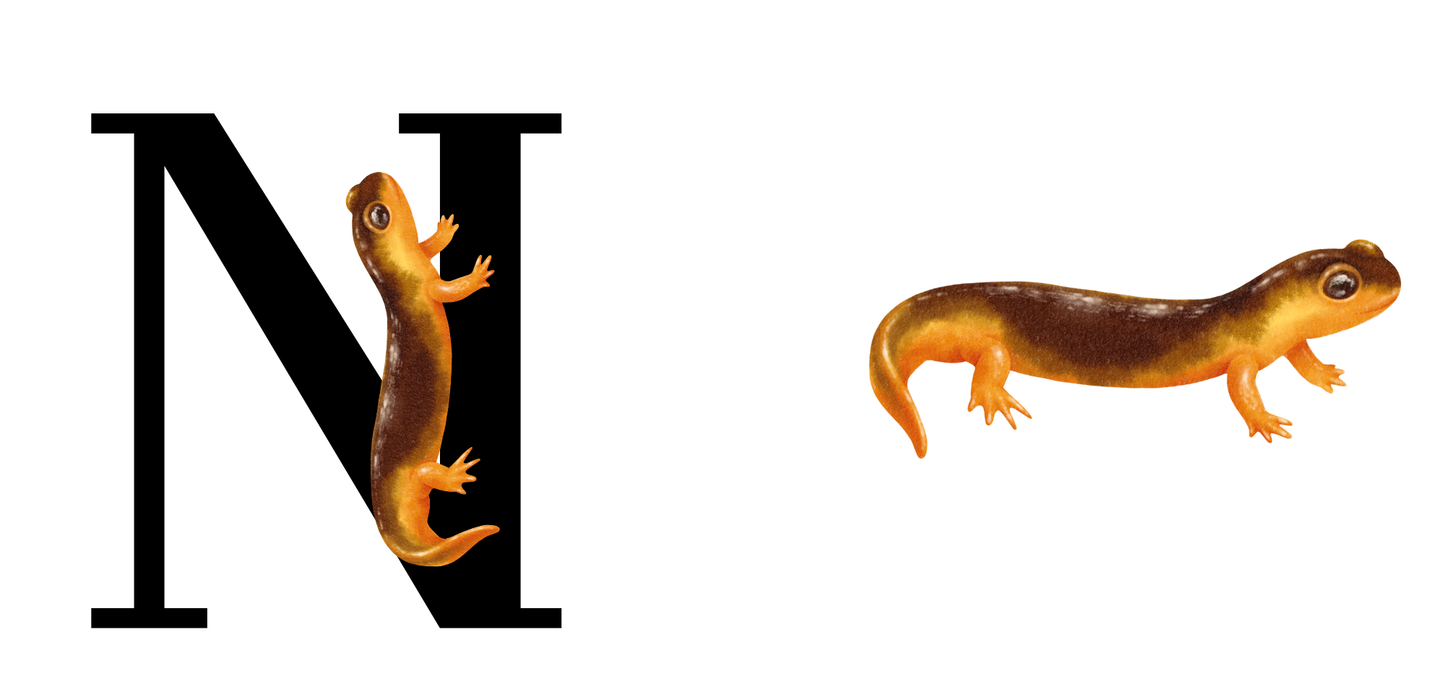 INITIAL MUG WITH CUTE ANIMAL NAMES CAN BE ADDED