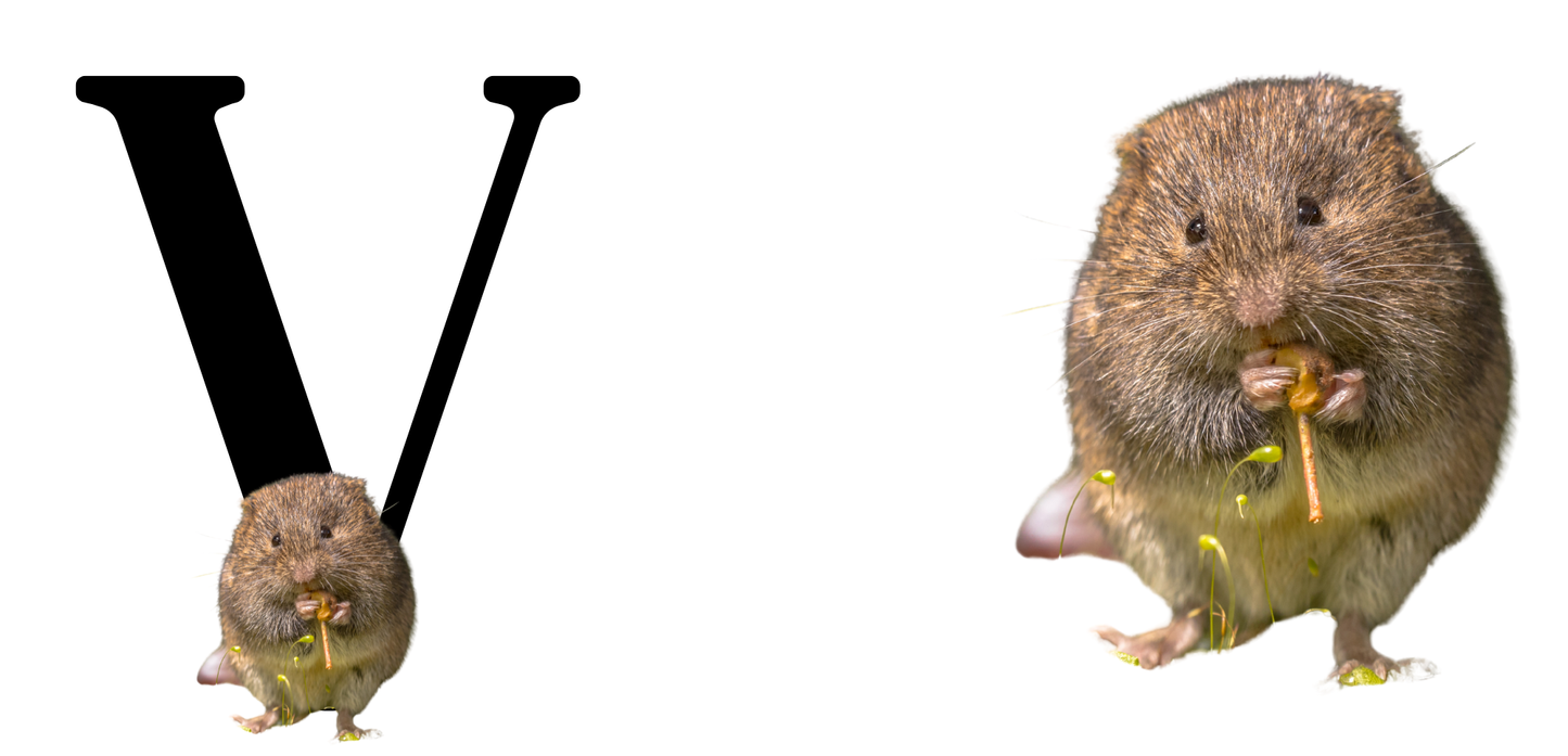 INITIAL MUG WITH CUTE ANIMAL NAMES CAN BE ADDED