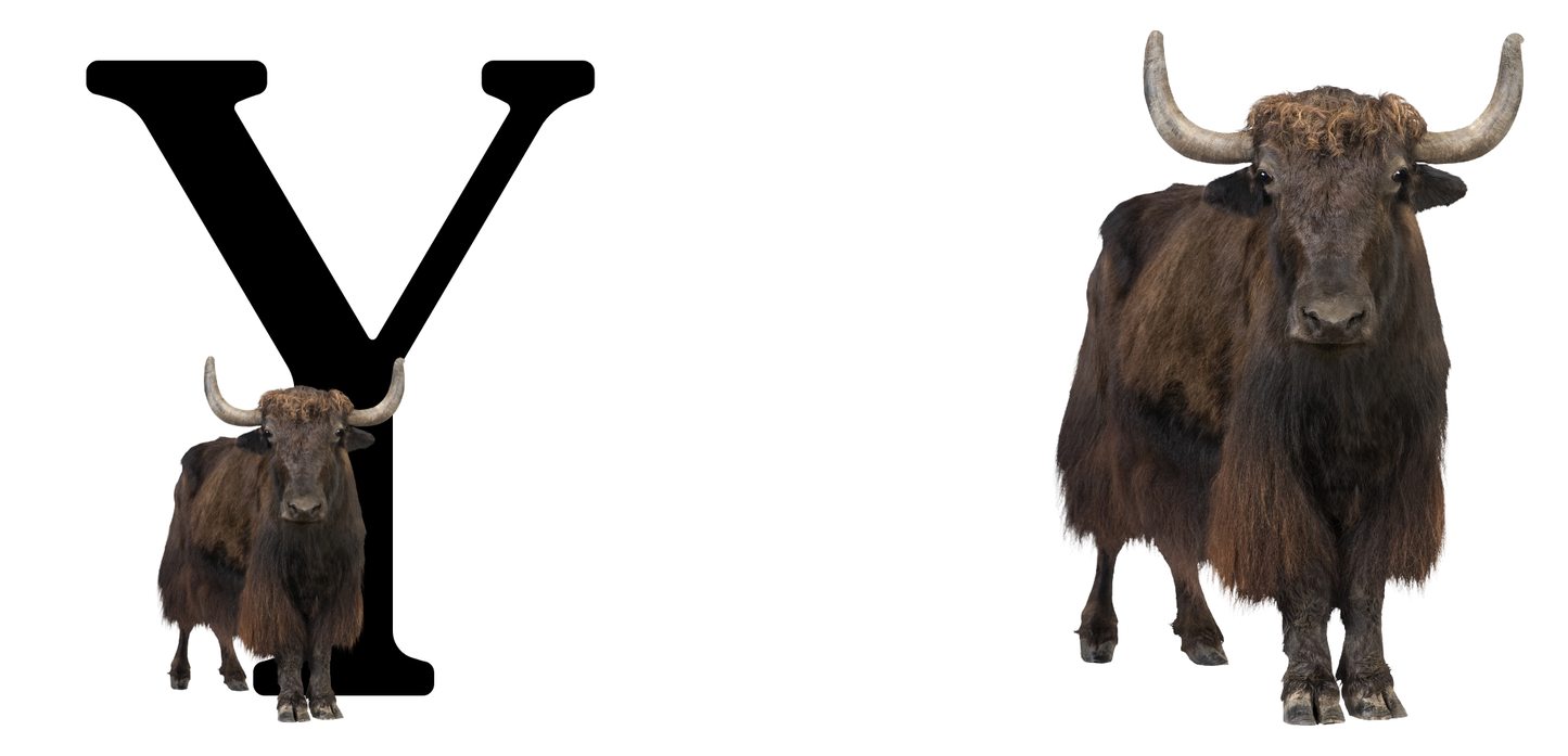 INITIAL MUG WITH CUTE ANIMAL NAMES CAN BE ADDED