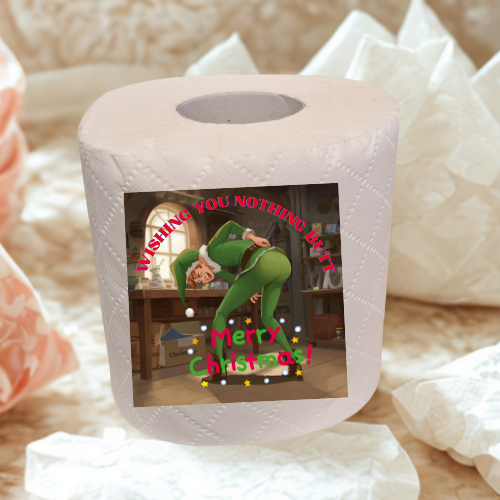 Christmas fun joke novelty toilet roll gift