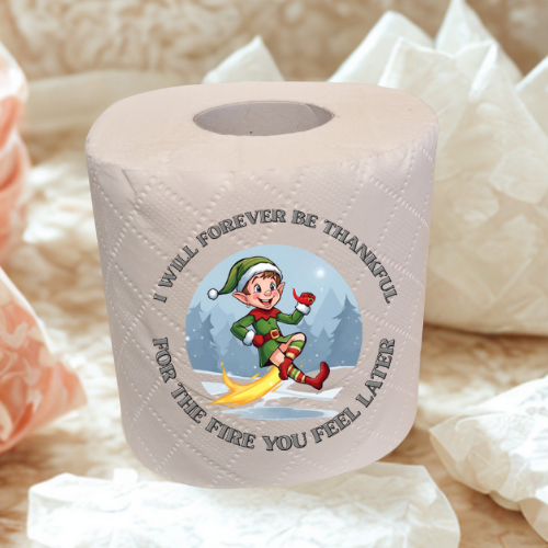 Christmas fun joke novelty toilet roll gift