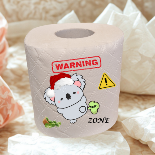 Christmas fun joke novelty toilet roll gift
