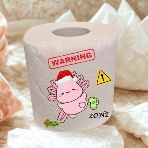 Christmas fun joke novelty toilet roll gift
