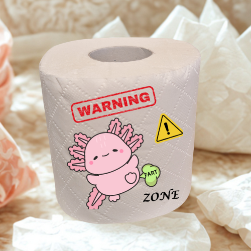 fun novelty toilet roll gift