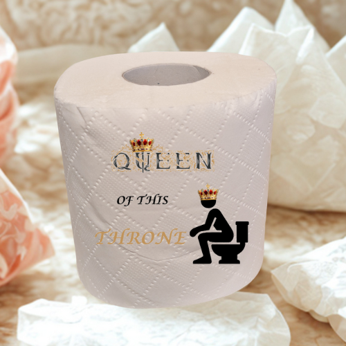 fun novelty toilet roll gift